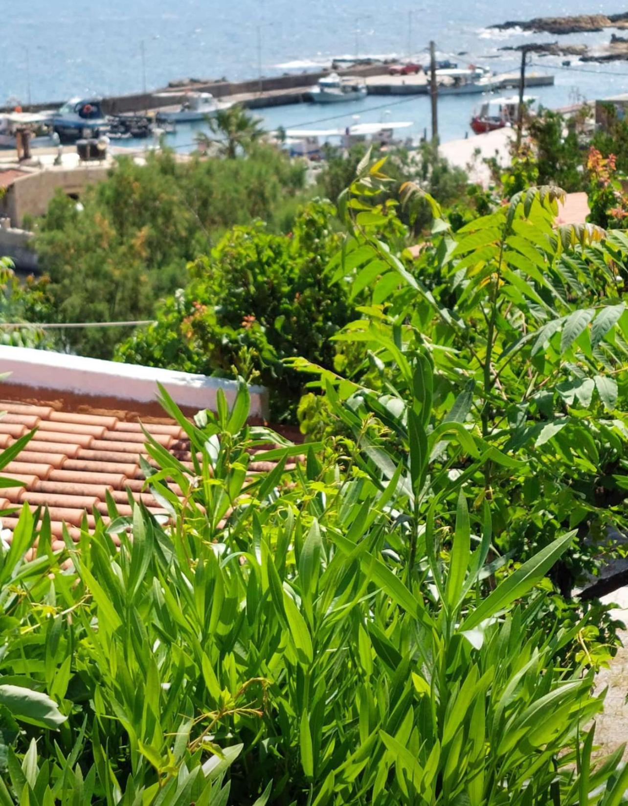Villas Vista Del Mar กิสเซมอส ภายนอก รูปภาพ